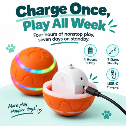 ZenCanis™ Zoomie Ball – Self-Rolling Interactive Dog Toy